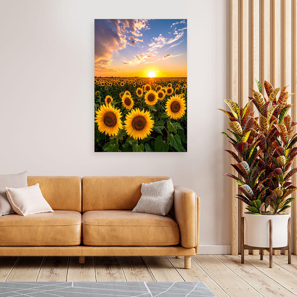 LEINWANDBILD Sonnenblumenfeld Sonnenuntergang 60x90cm - Gelb, Textil (60/90cm) - Feeby