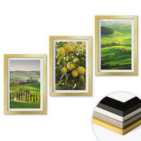WANDBILDER 3er Set - 20x30 cm Goldrahmen - Italienische Zitrusfrüchte und Hügel - Goldfarben, Kunststoff (20/30cm) - ArtPrintCave