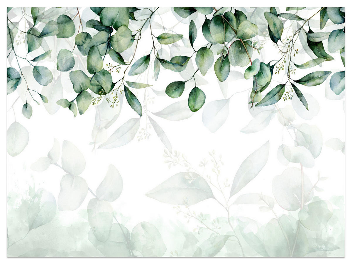 FOTOTAPETE Eukalyptus Blätter Pflanzen Natur 300x210 - Weiß/Grün, Papier (300/210cm) - Muralo