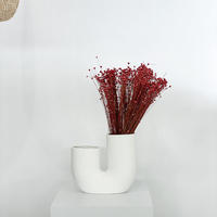 TROCKENBLUMEN Glixia Bund in Rot - Hellrot, Naturmaterialien (50cm) - Lykke & You