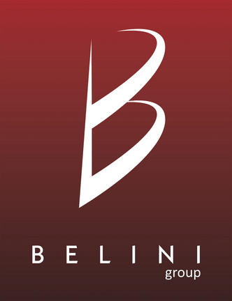 B BELINI GROUP