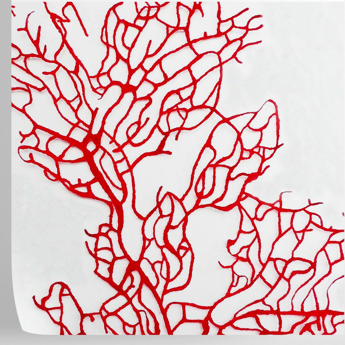 TAPETE Koralle aus echtem Papier, 200x280cm, 8 Bögen - Rot, Papier (200/280cm) - WALLPAPERS4BEGINNERS
