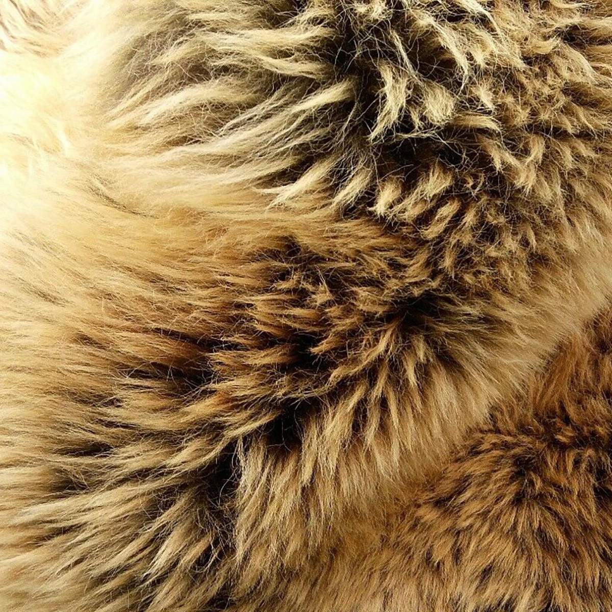 SCHAFFELL Skandinavisch Creme Braun ökologisch gegerbt ca. 100 cm - Creme/Braun, Fell (60/100cm) - Provellus