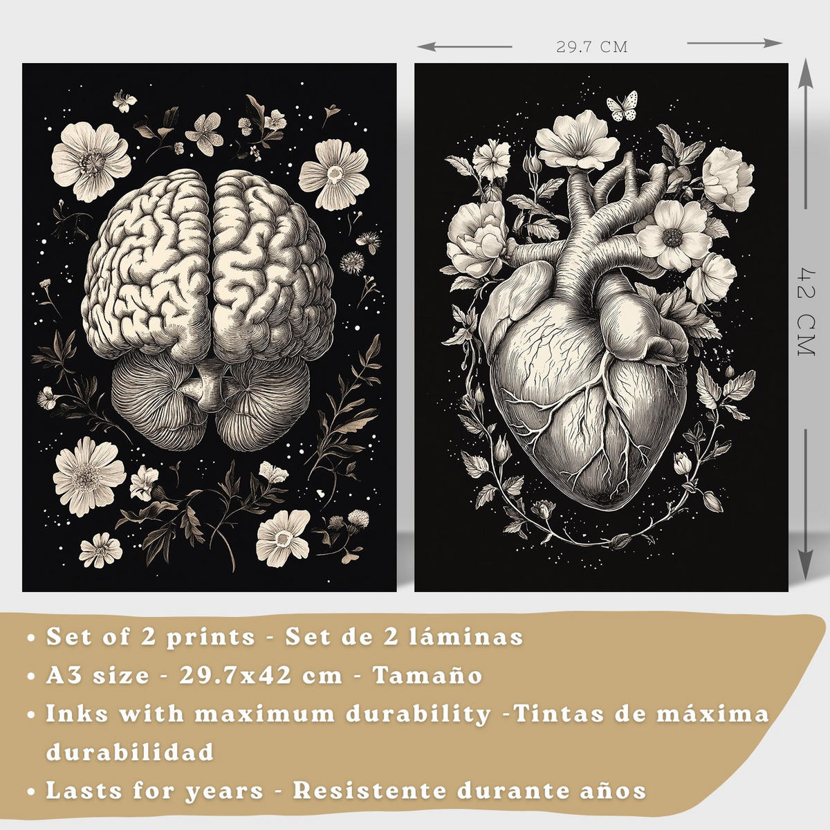 POSTER Set aus 2 Anatomie Mensch Drucke und Wandbilder mit Gehirn und Herz Monochromes Florales Design Schwarzer Hintergrund Größe Weißer Rahmen A3 - Weiß, Papier (29.7/42/3cm) - Nacnic