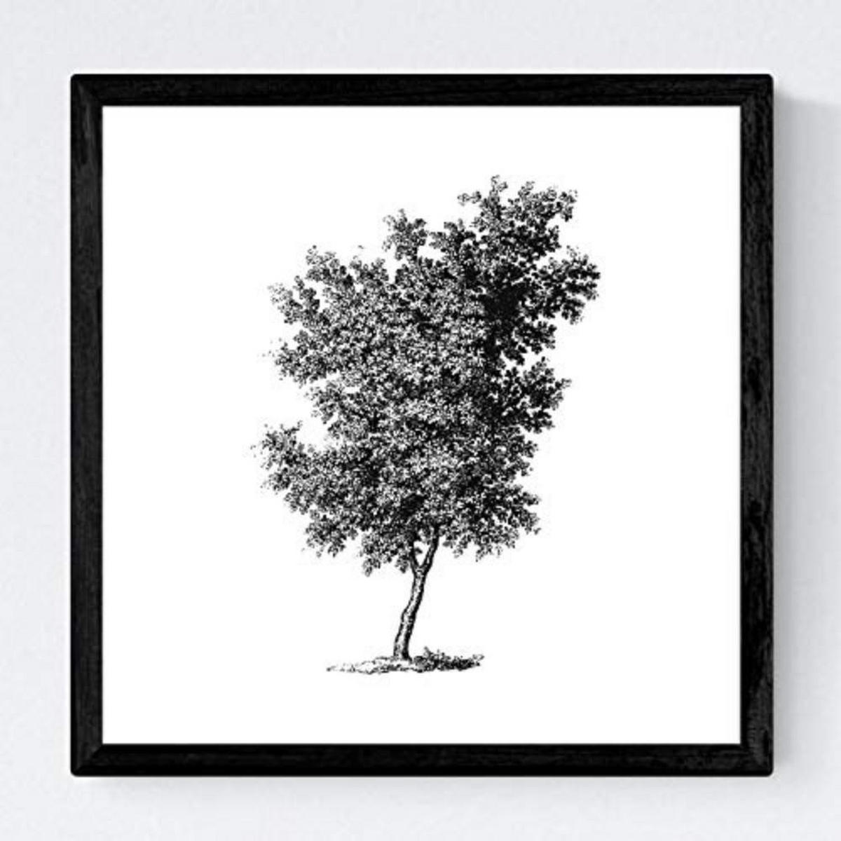 POSTER Set mit 4 Blättern der verschiedene Richtungen weiß Hintergrund 30x30 cm Rahmenlos - Klar, Papier (30/3cm) - Nacnic