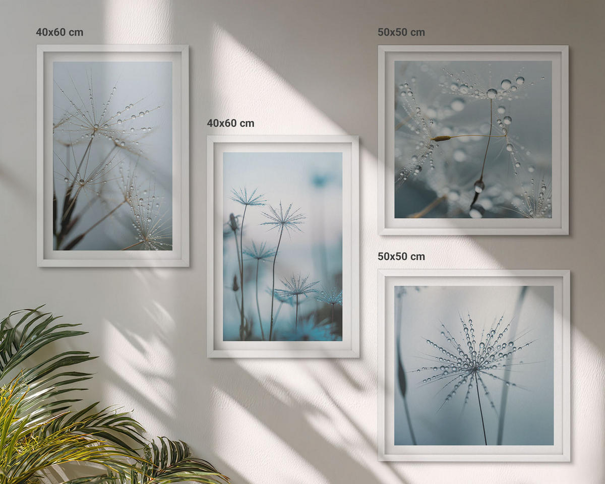 WANDBILDER 4er-Set - 50x50 cm & 40x60 cm Weißer Rahmen - Löwenzahn-Wassertropfen - Weiß, Kunststoff (50/50cm) - ArtPrintCave