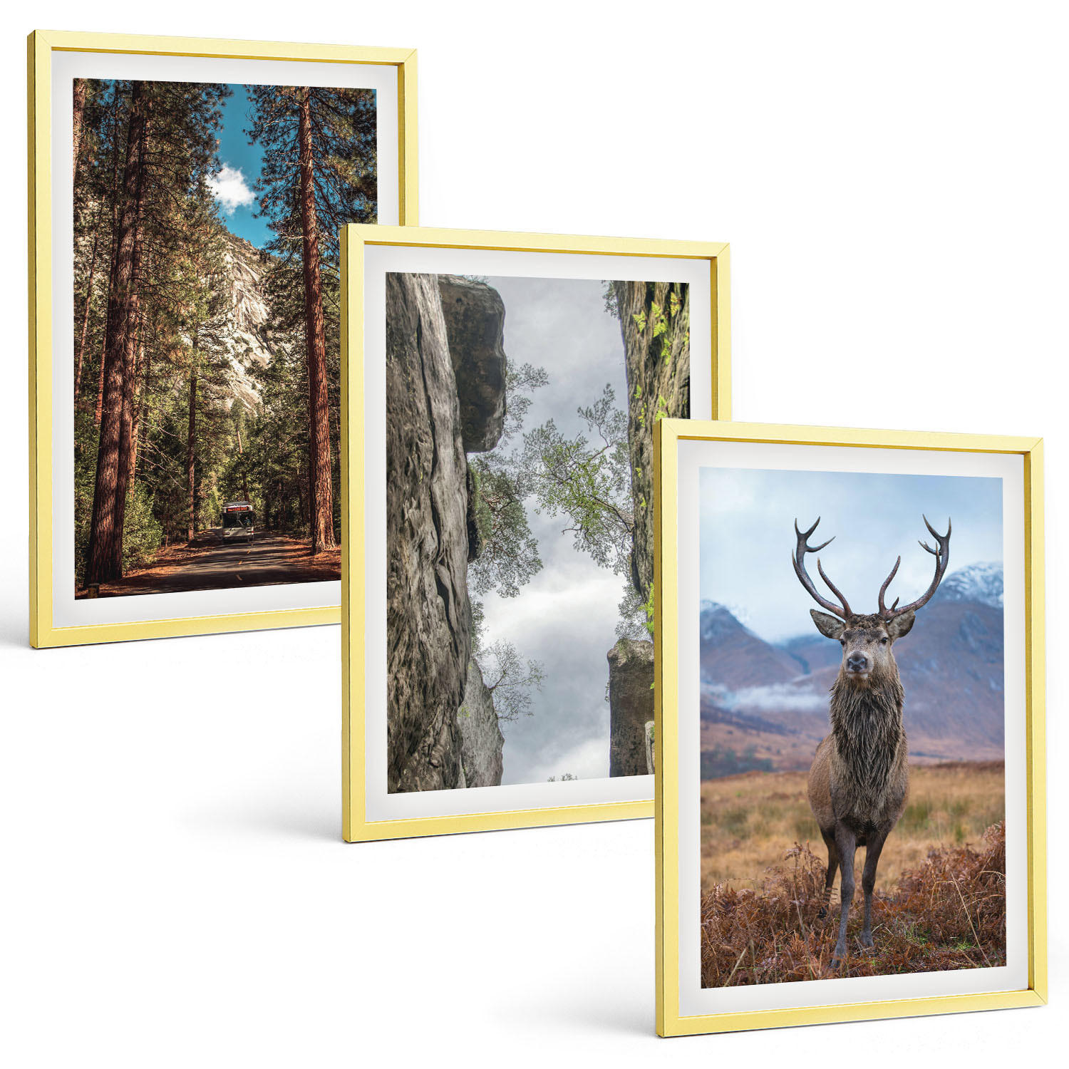 Tulup Bilder Gold 40x60 cm