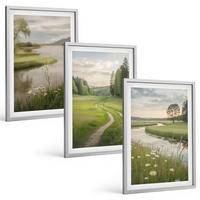 BILDER SET 3er Set - 40x60 cm Silberner Rahmen - Sommerliche Flusswiesen voller Blumen - Silberfarben, Kunststoff (40/60cm) - TULUP