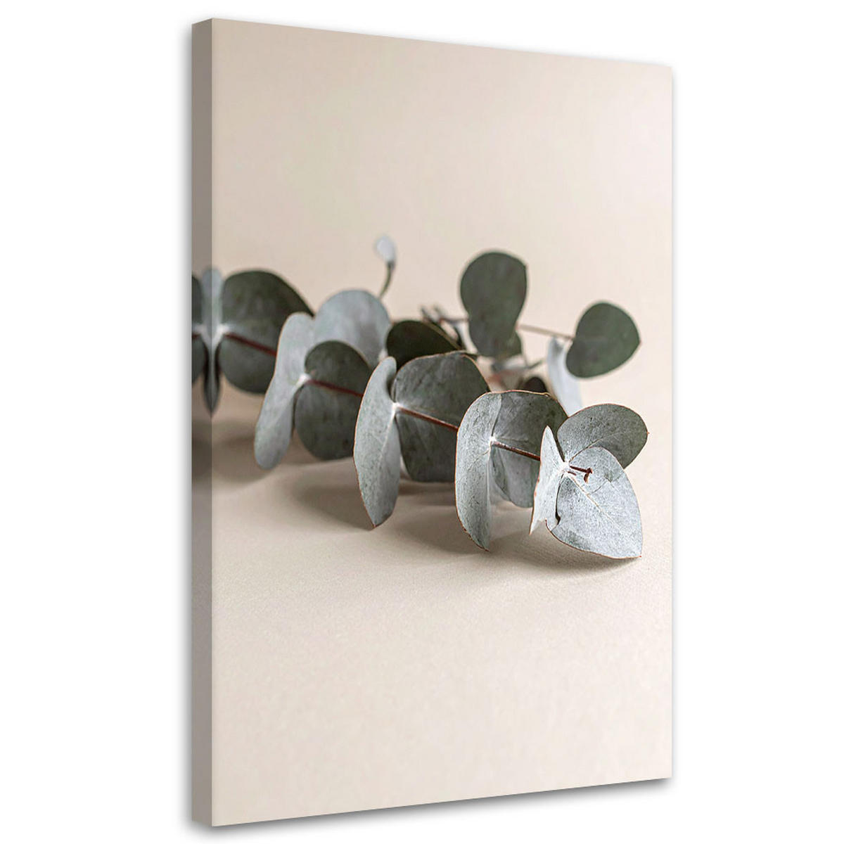 LEINWANDBILD Blätter Pflanzen Natur beige 70x100cm - Beige, Textil (70/100cm) - Feeby