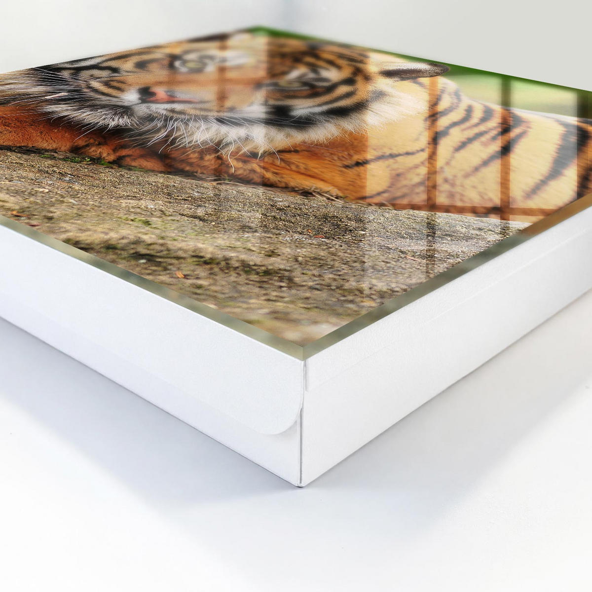 SCHLÜSSELBOX Weiß 30x30 cm – Türöffnung nach rechts - Tiger ruht - Orange, Metall (30/30/5cm) - TULUP