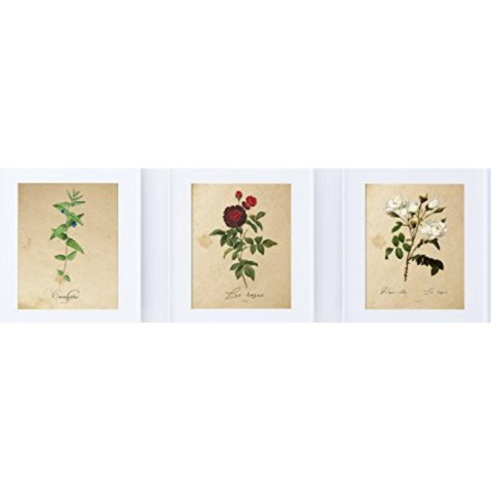 Nacnic Poster Klar 29.7x5x21 cm