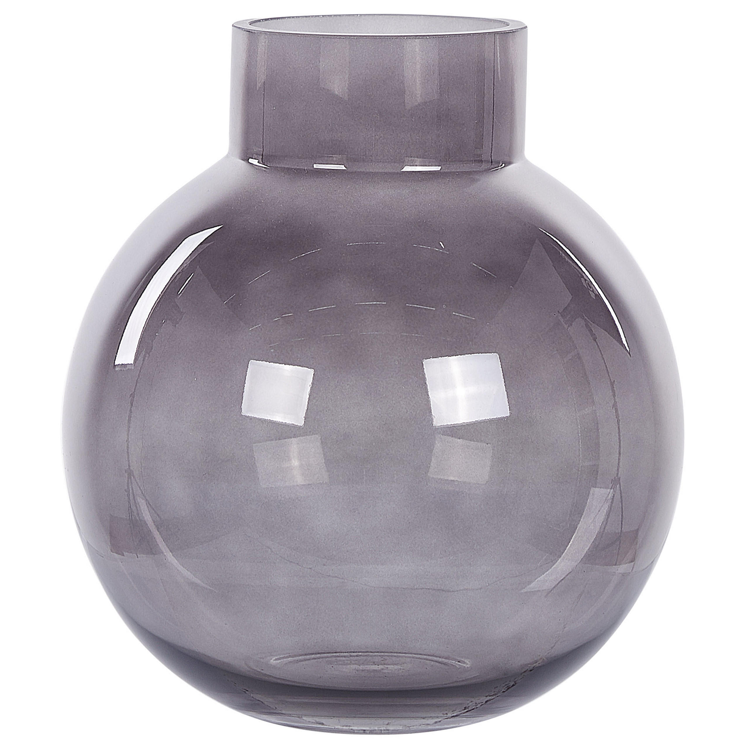BLUMENVASE Glas grau Polydrosos - Grau, Glas (22cm) - Beliani