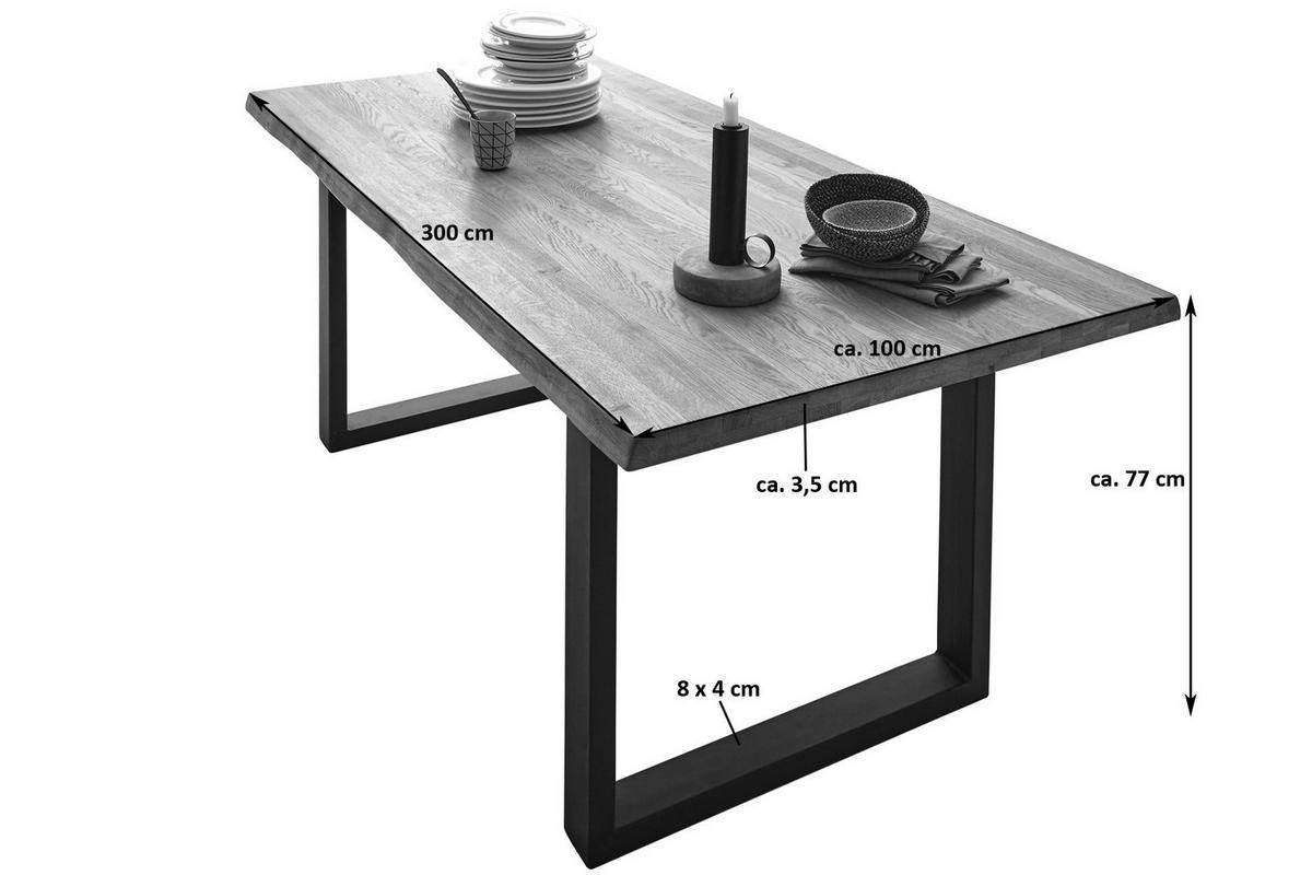 ESSTISCH RICHARD - Beige/Schwarz, Holz/Metall (100/300/77cm) - SAM