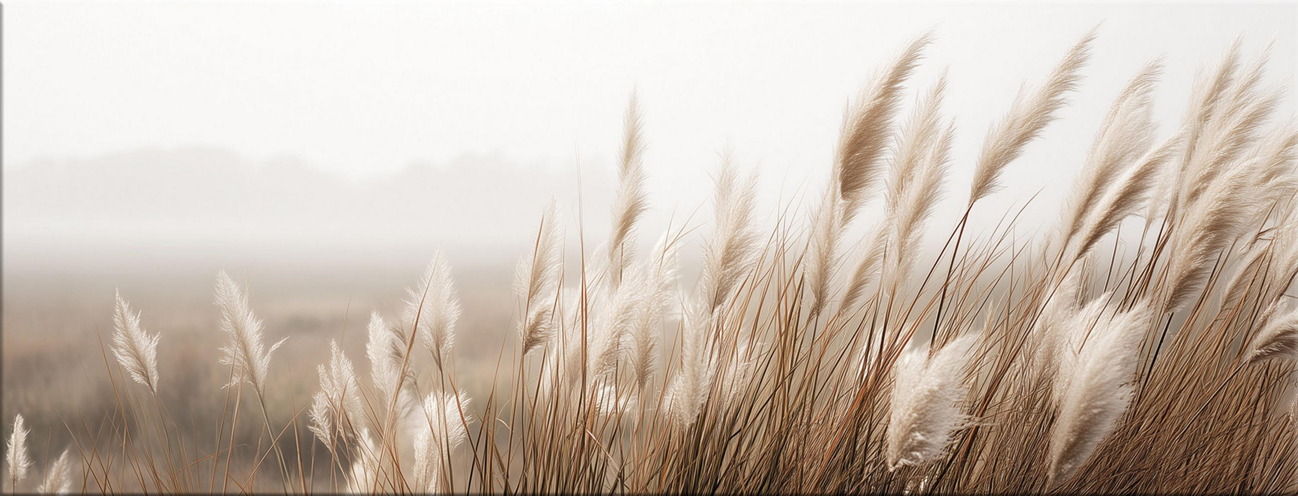 GLASBILD 80x30 cm Pampasgras Natur beige - Beige, Glas (80/30cm) - artissimo