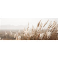 GLASBILD 80x30 cm Pampasgras Natur beige - Beige, Glas (80/30cm) - artissimo
