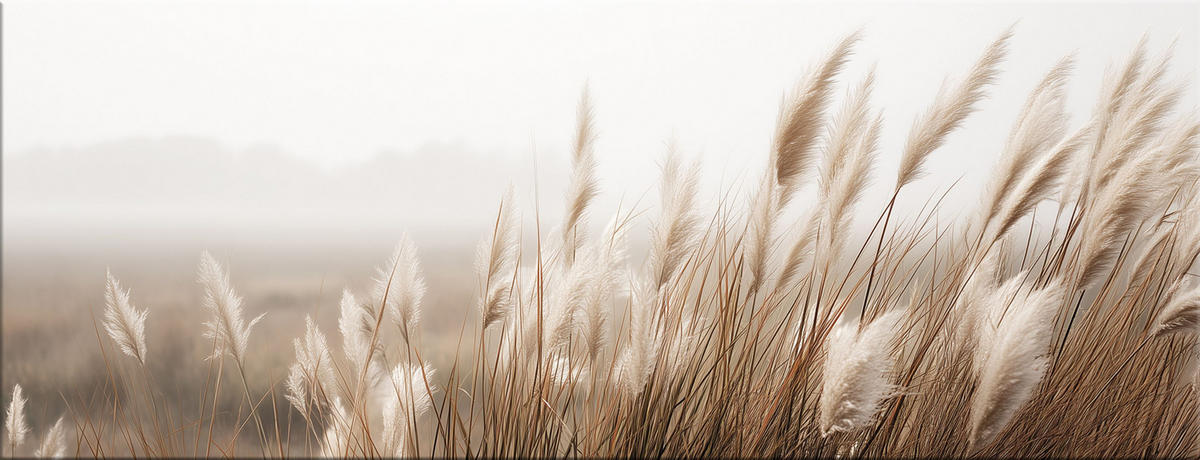 GLASBILD 80x30 cm Pampasgras Natur beige - Beige, Glas (80/30cm) - artissimo