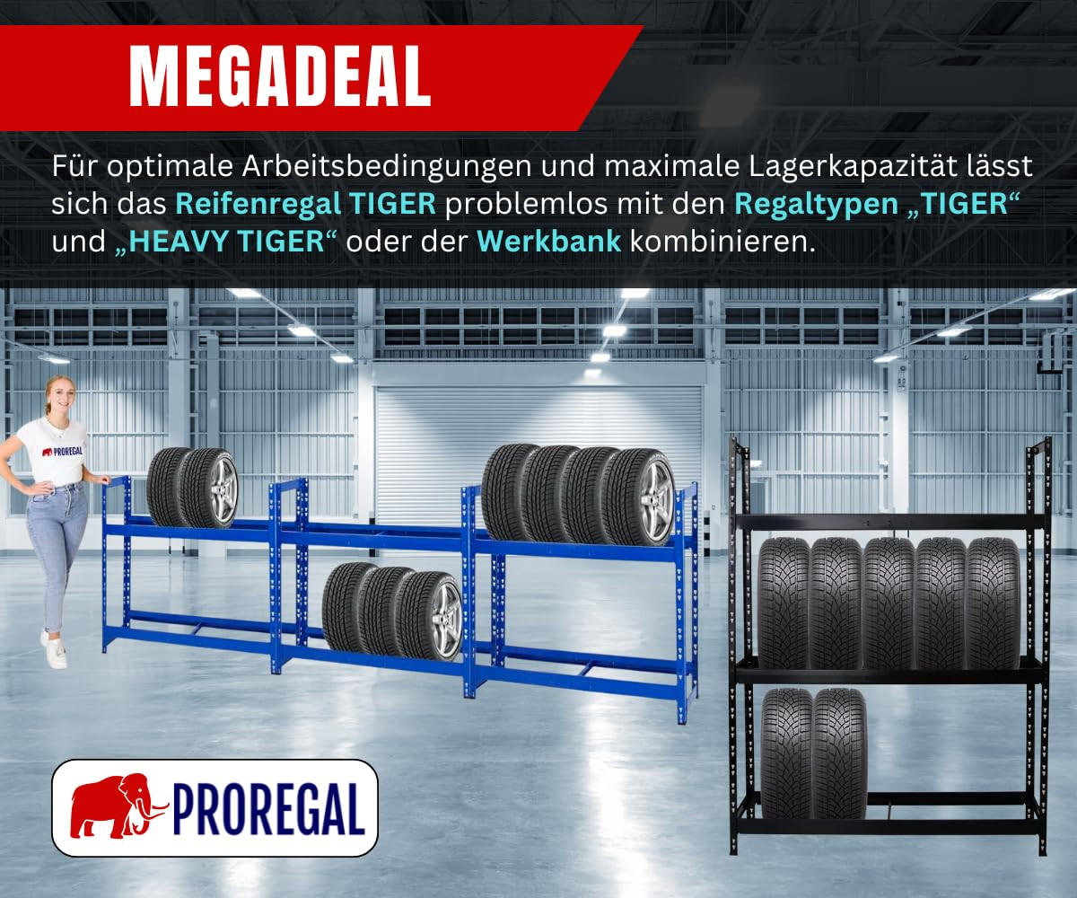 REIFENREGAL Tiger 100x110x35 cm 150 kg Fachlast bis zu 8 Reifen auf 2 Ebenen Schwarz - Schwarz, Metall (110/100/35cm) - PROREGAL