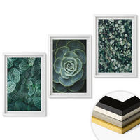 WANDBILDER 3er-Set - 40x60 cm Weißer Rahmen - Sukkulenten - Weiß, Kunststoff (40/60cm) - ArtPrintCave