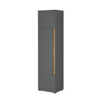 STAURAUMSCHRANK Crisp-61 - Anthrazit, Holzwerkstoff (50/200/40cm) - Lomado