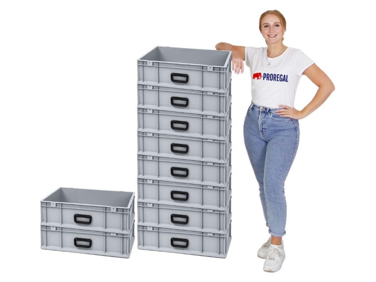 EUROBOX Nextgen Portable Uno 17x40x60cm 34 Liter - Grau, Kunststoff (40/17/60cm) - PROREGAL