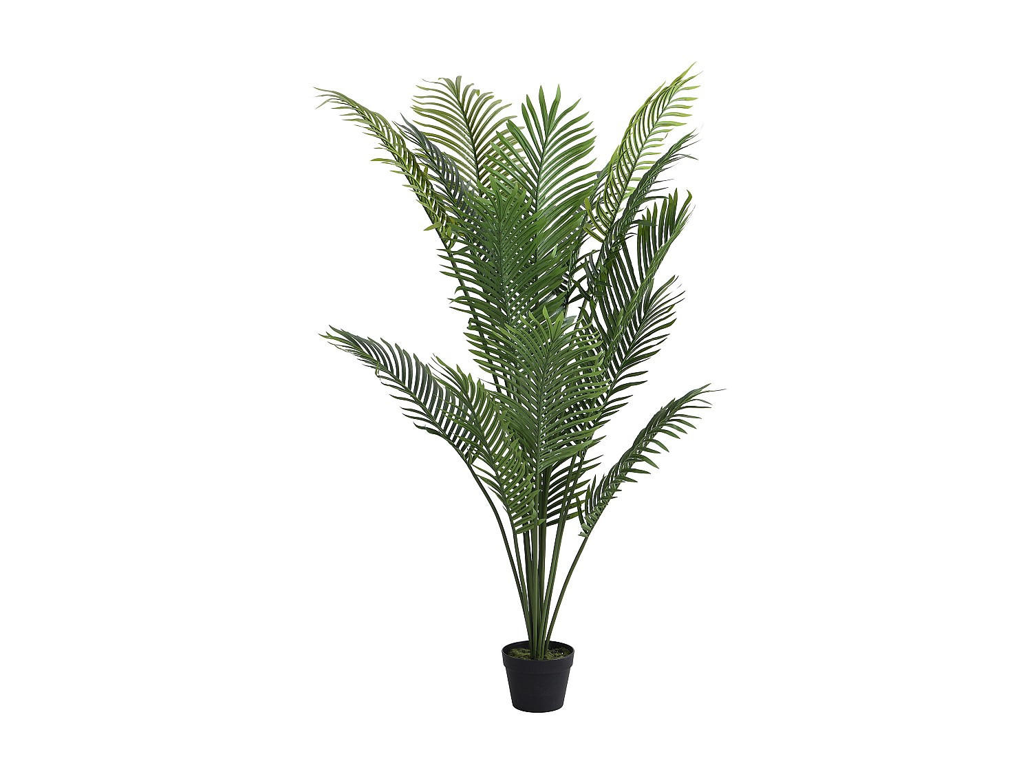 KUNSTPFLANZE - 80 cm x 80 cm - plastik - grün Palmita - Grün, Kunststoff (160cm) - Vente-Unique