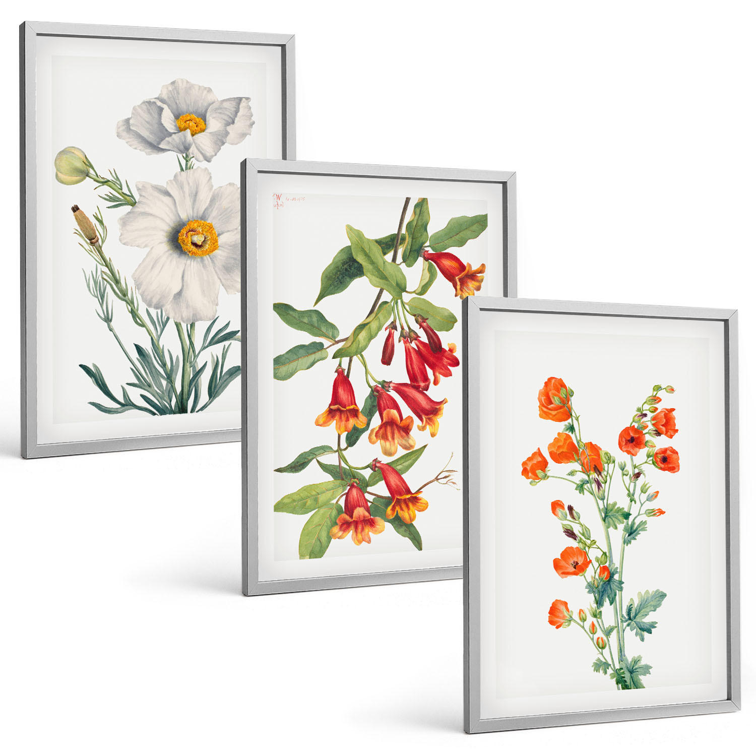 BILDER SET 3er Set - 40x60 cm Silberner Rahmen - Retro-Blumenarrangements - Silberfarben, Kunststoff (40/60cm) - TULUP