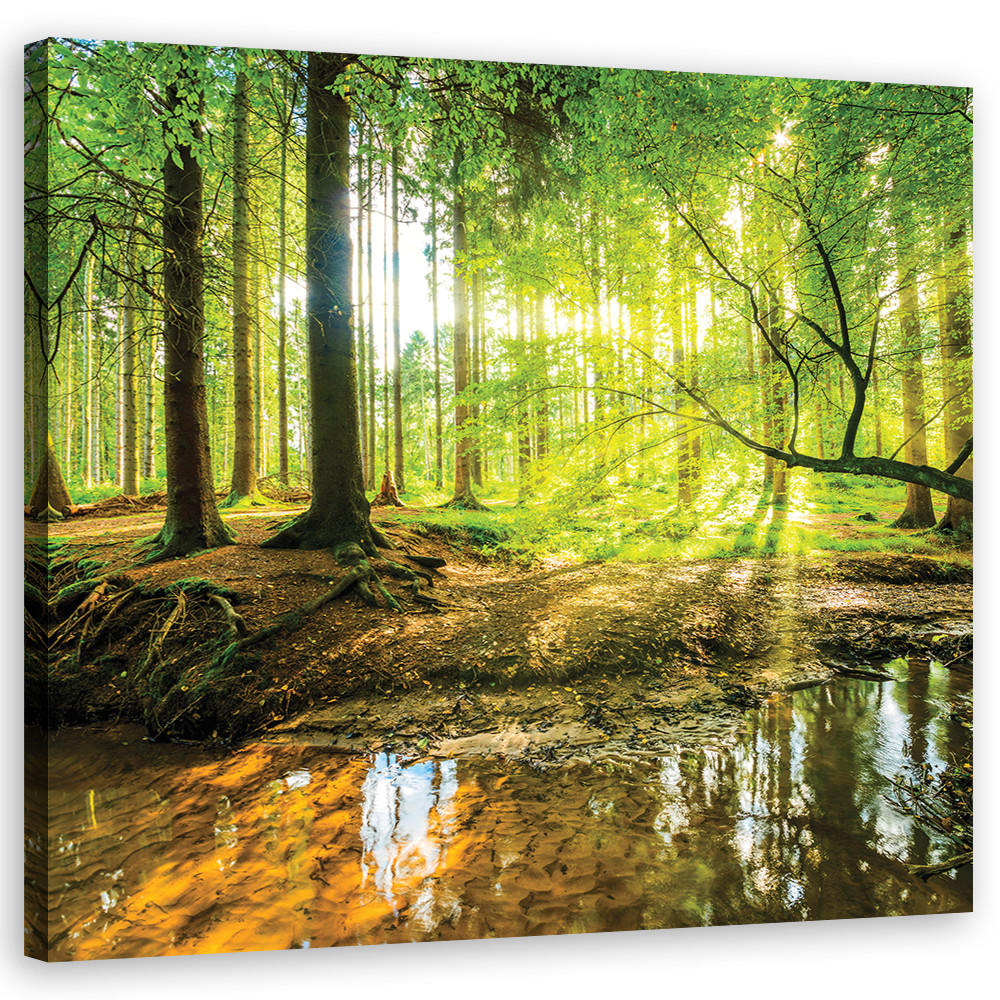 LEINWANDBILD Forest Lake Natura 50x50cm - Grün, Textil (50/50cm) - Feeby