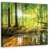 LEINWANDBILD Forest Lake Natura - Grün, Textil (40/40cm) - Feeby