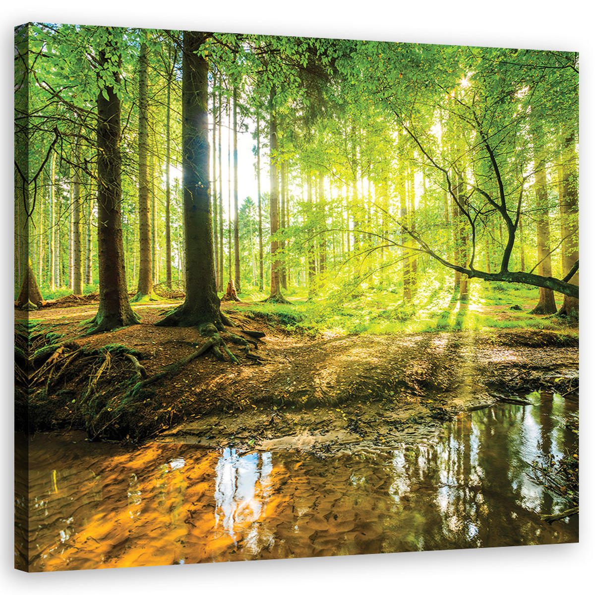 LEINWANDBILD Forest Lake Natura - Grün, Textil (40/40cm) - Feeby