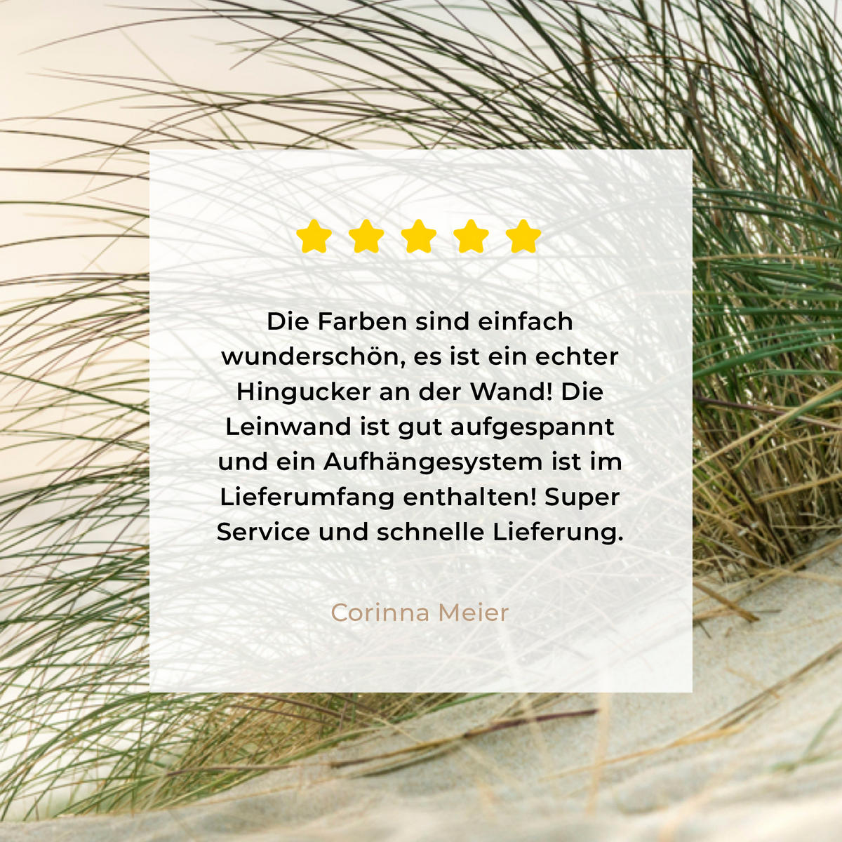 LEINWANDBILD Dünen mit Strandhafer in der Sonne des Nationalparks Schleswig-Holsteinisches Wattenmeer Wandbilder 80x60 cm - Creme, Textil (80/60cm) - MuchoWow