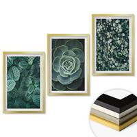 WANDBILDER 3er Set - 40x60 cm Goldrahmen - Sukkulenten - Goldfarben, Kunststoff (40/60cm) - ArtPrintCave