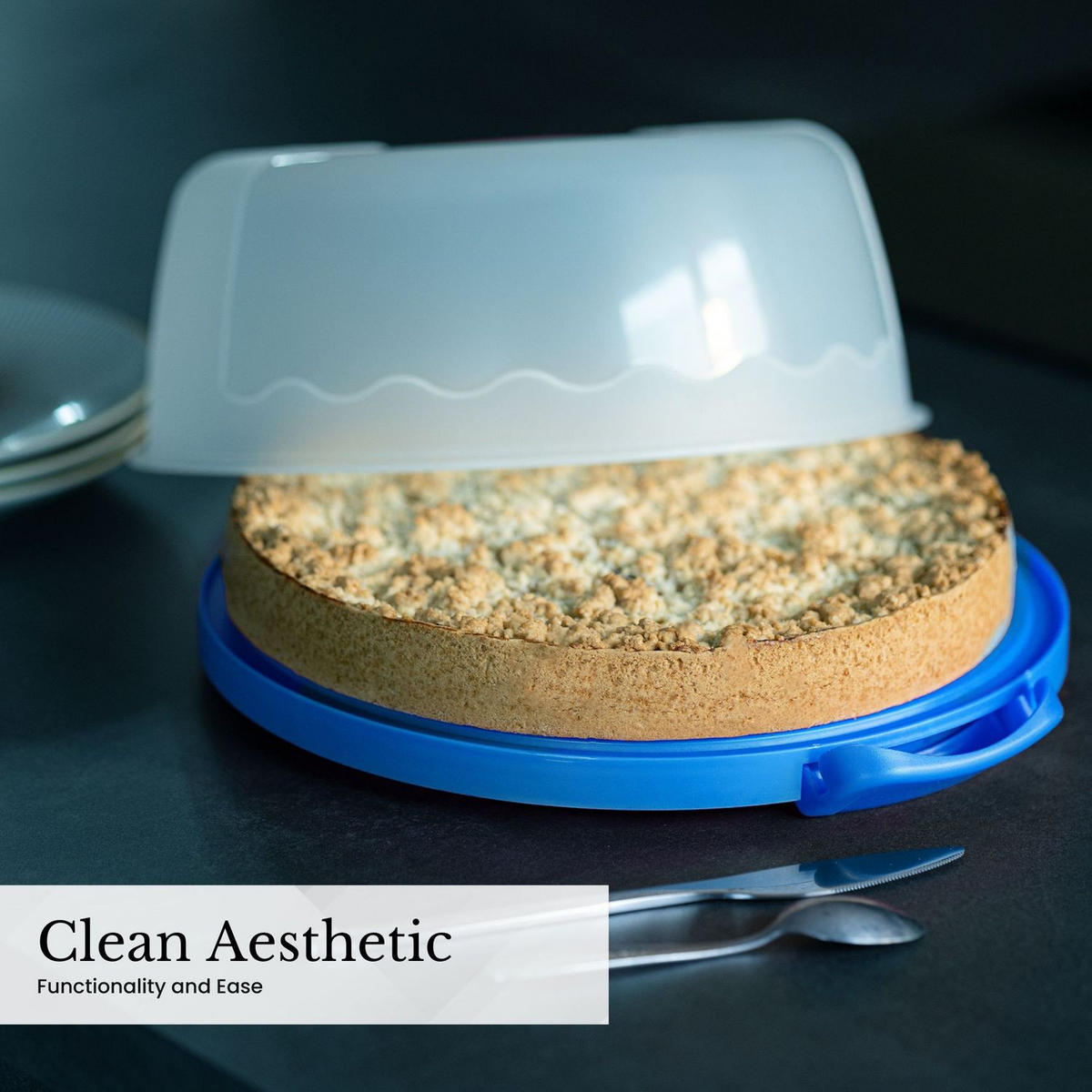 KUCHENTRANSPORTBOX Kuchenbehälter 29.8/28.8/13.2 cm - Blau, Kunststoff (28.8/13.2/29.8cm) - Intirilife