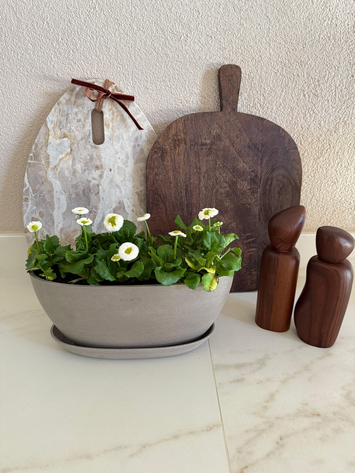 BLUMENTOPF Sofia 29,5/13,5 cm Grau - Grau, Kunststoff (29.5/13.5cm) - Ecopots