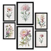 POSTER Set Mit 6 Hellrosa Blumen Vollfarbige Blumenmotiven A3 & A4 Rahmenlos - Klar, Papier (29/3cm) - Nacnic