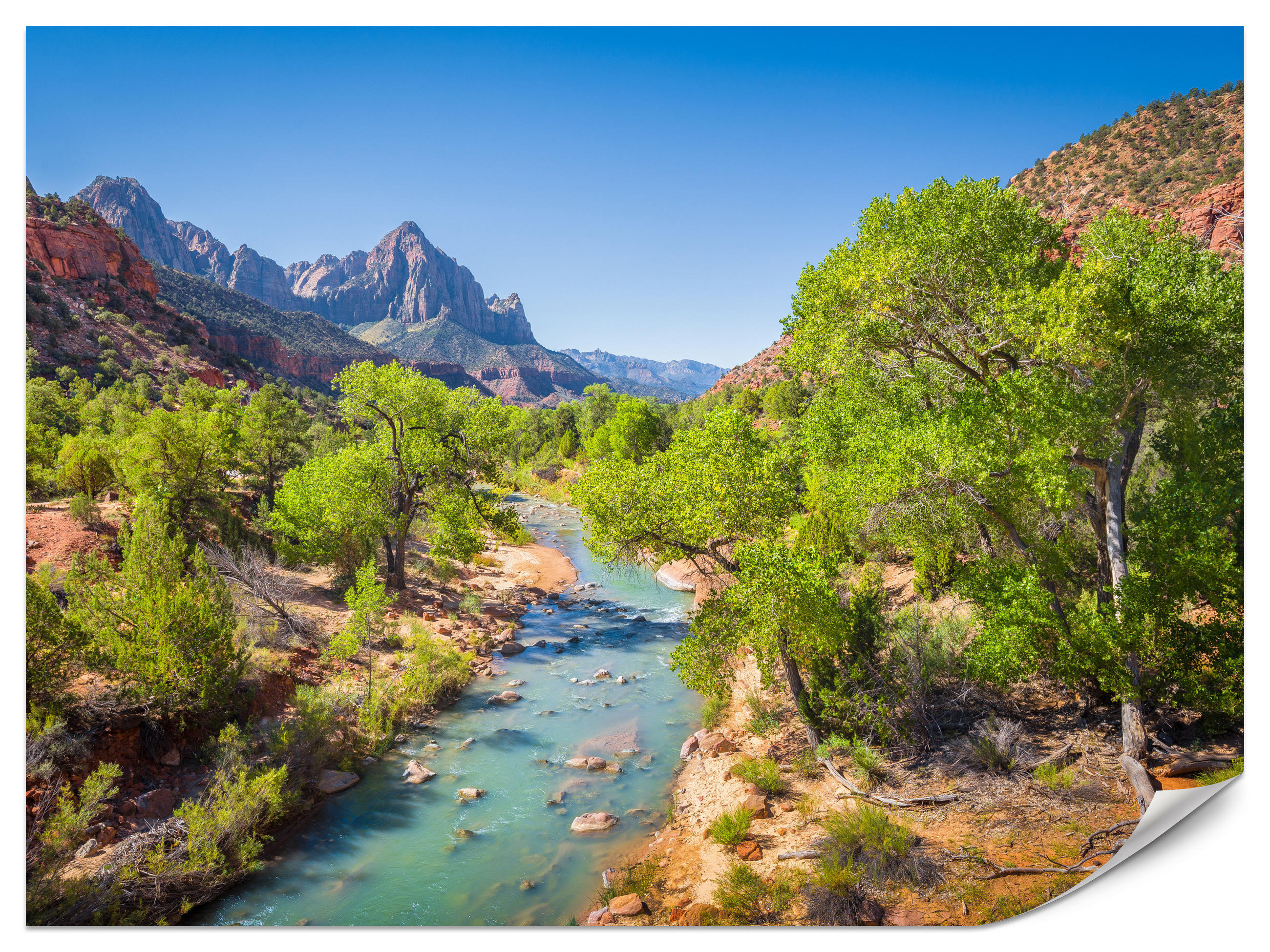 FOTOTAPETE für Esszimmer Virgin River Bäume Felsen Berge Natur 400x280 - Türkis/Blau, Papier (400/280cm) - Muralo