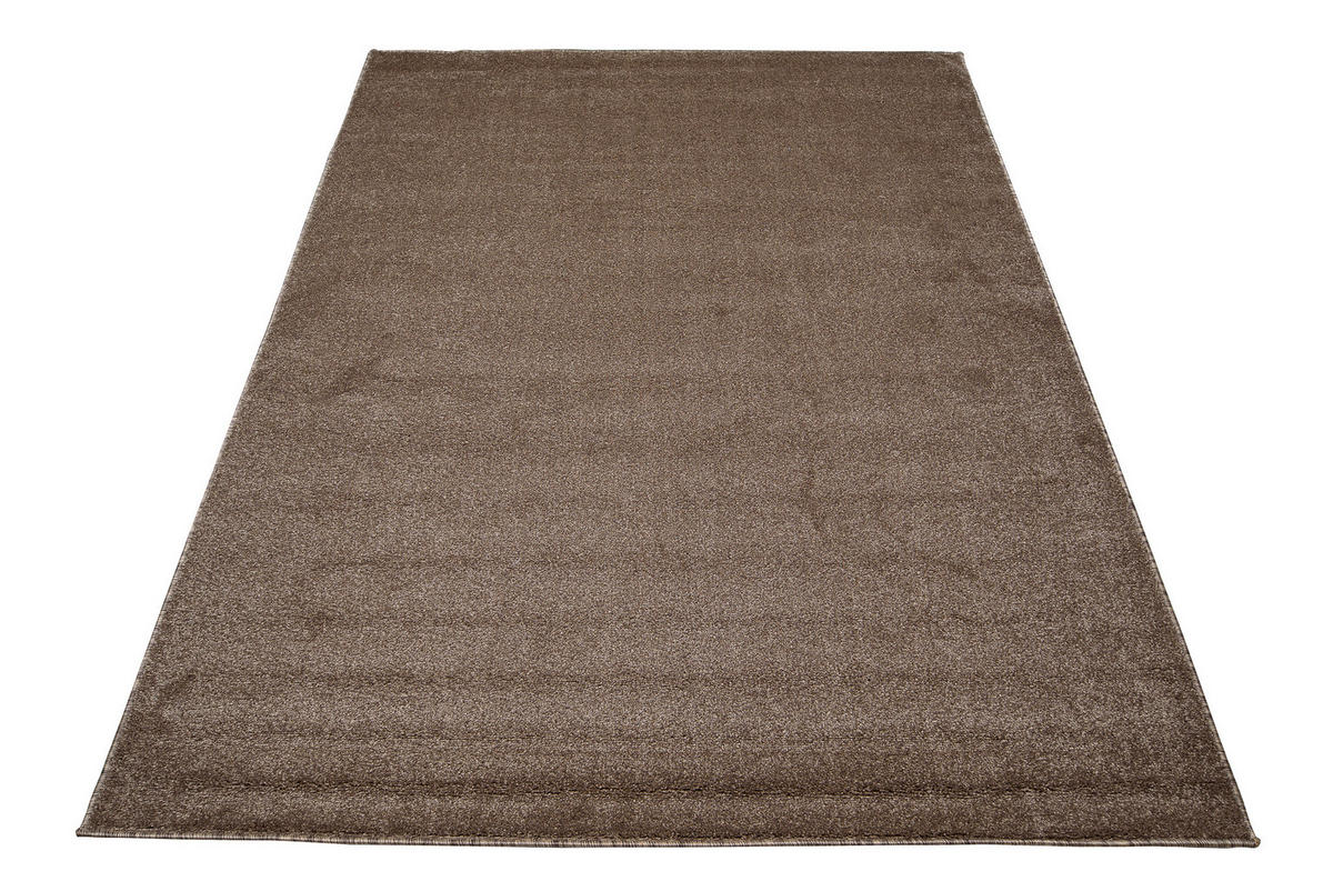 TEPPICH NOYAN BRAUN 300/400 cm - Braun, Textil (300/400cm) - Tapiso