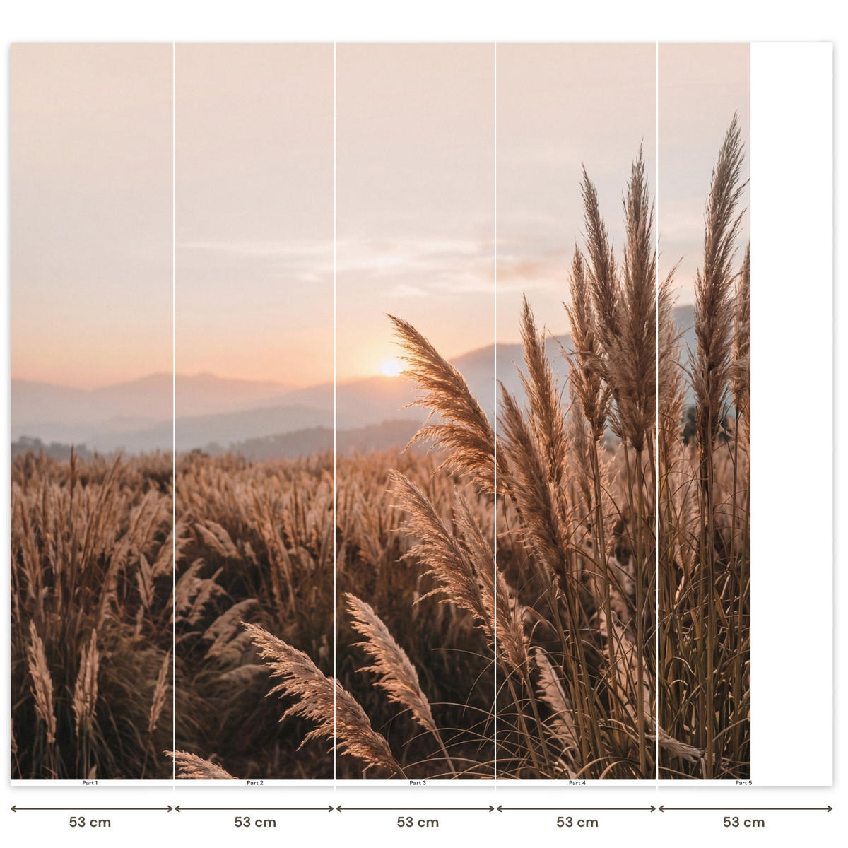 TAPETE - Gras - Feld - Sonne - Natur - 240x220 cm - Sandfarben, Papier (240/220cm) - OnlyWow