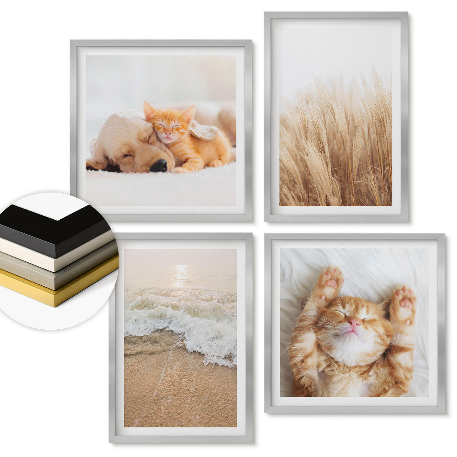WANDBILDER 4er Set - 50x50 cm & 40x60 cm Silberner Rahmen - Niedliche Tiere, Katzen, Hunde, Strand - Silberfarben, Kunststoff (50/50cm) - ArtPrintCave