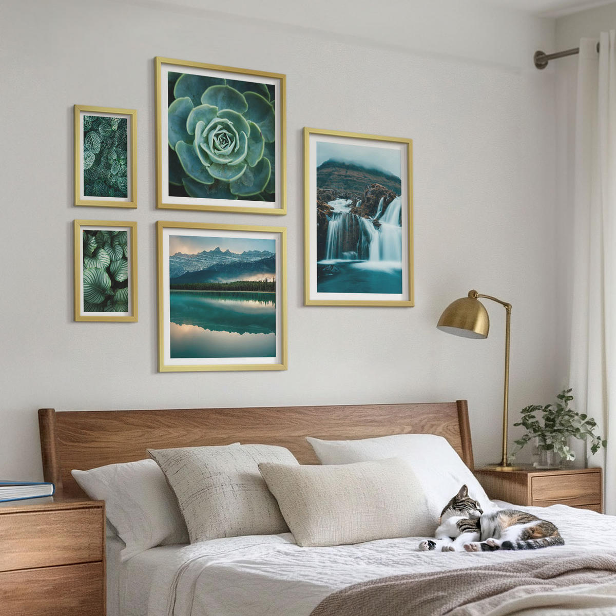 WANDBILDER 5er Set - 50x50 cm & 20x30 cm & 40x60 cm Goldrahmen - Sukkulenten in Grün und Türkis - Goldfarben, Kunststoff (40/60cm) - ArtPrintCave