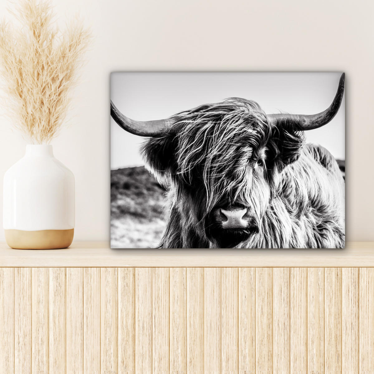 LEINWANDBILD Kuh - Schottischer Hochländer - Schwarz - Weiß - Tier - Natur - Wildtiere 40x30 cm - Schwarz, Textil (40/30cm) - MuchoWow