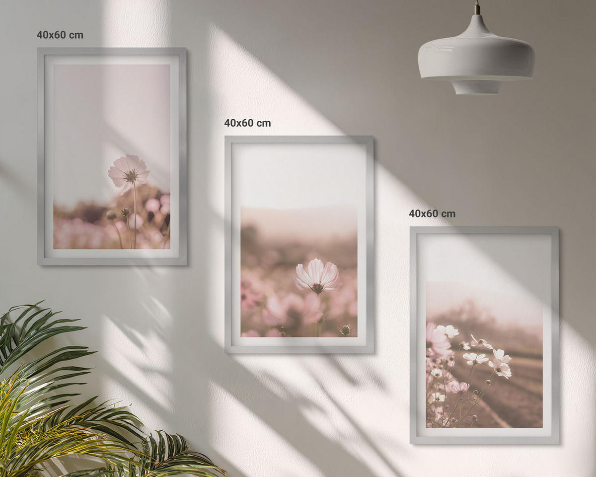 BILDER SET 3er Set - 40x60 cm Silberner Rahmen - Sommerlandschaften mit Wildblumenwiesen - Silberfarben, Kunststoff (40/60cm) - TULUP