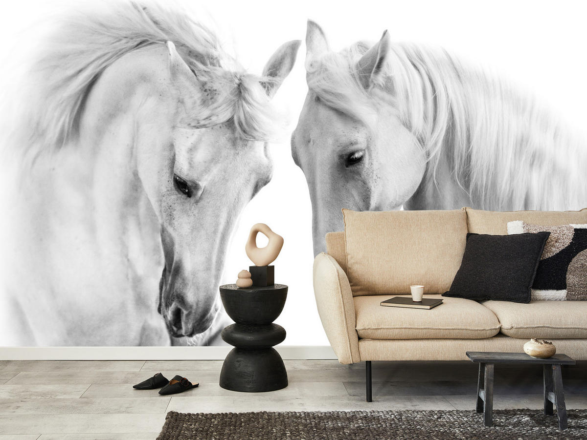 FOTOTAPETE für Schlafzimmer Weiße Pferde Grauer Hintergrund Eleganz Tierwelt 450x315 - Weiß/Grau, Papier (450/315cm) - Muralo
