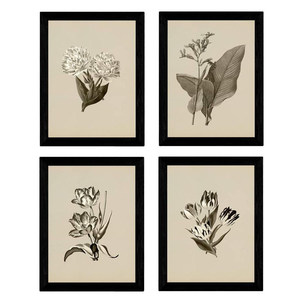 POSTER Set mit 4 botanischen Jahrgang Tulpen Regenbogen A3 Rahmenlos - Klar, Papier (29.7/3cm) - Nacnic