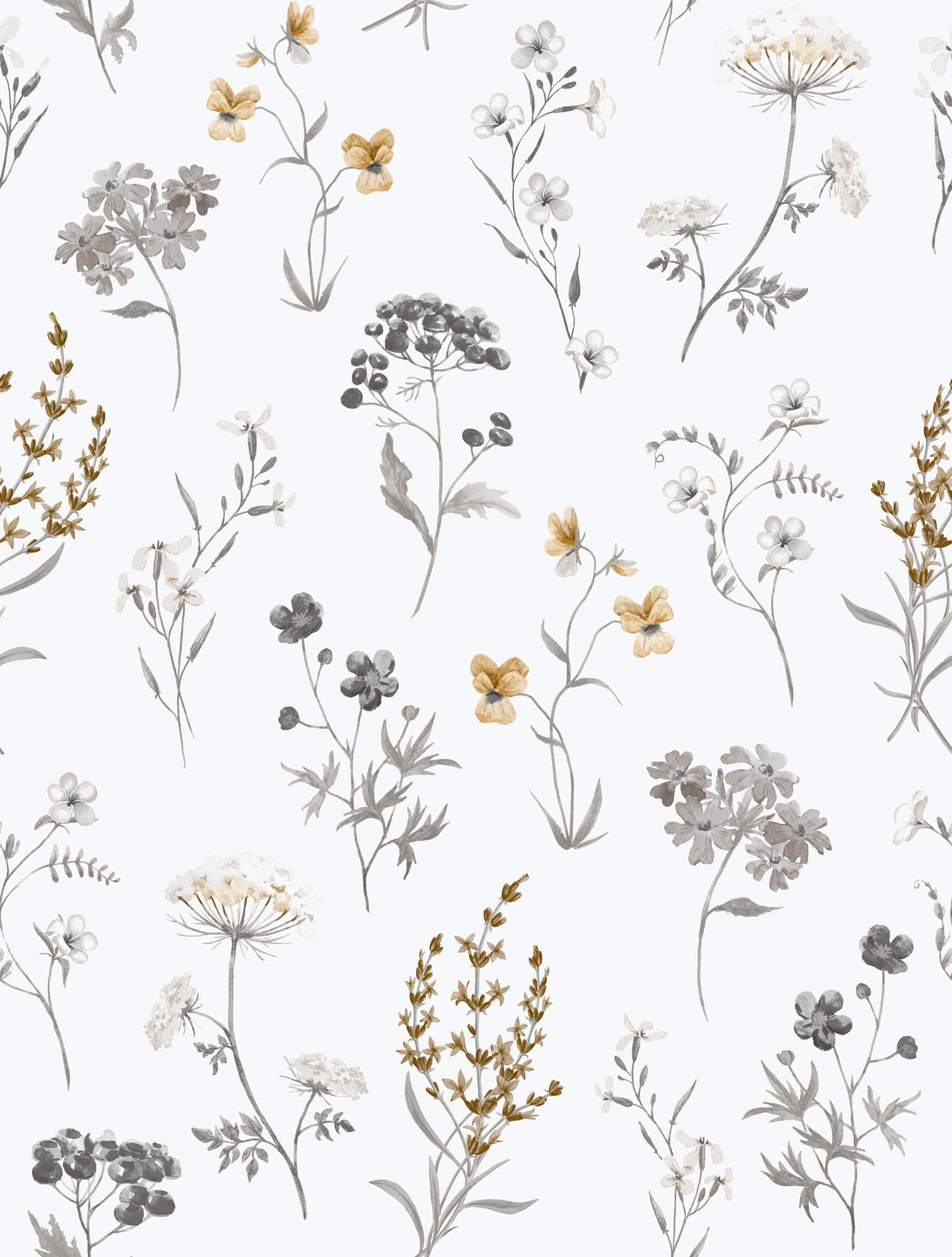 TAPETE Blumen 53 cm x 10 m - Grau, Papier (53/1000cm) - Sanders & Sanders