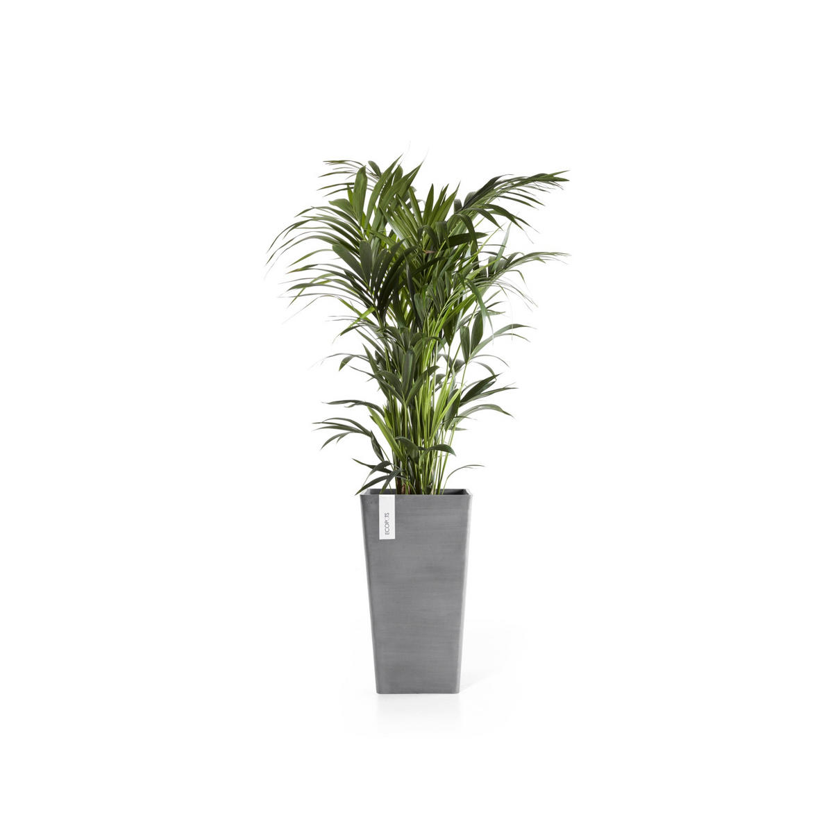 BLUMENTOPF Rotterdam Mid High 31/31/56,5 cm Grau - Grau, Kunststoff (31/56.5cm) - Ecopots