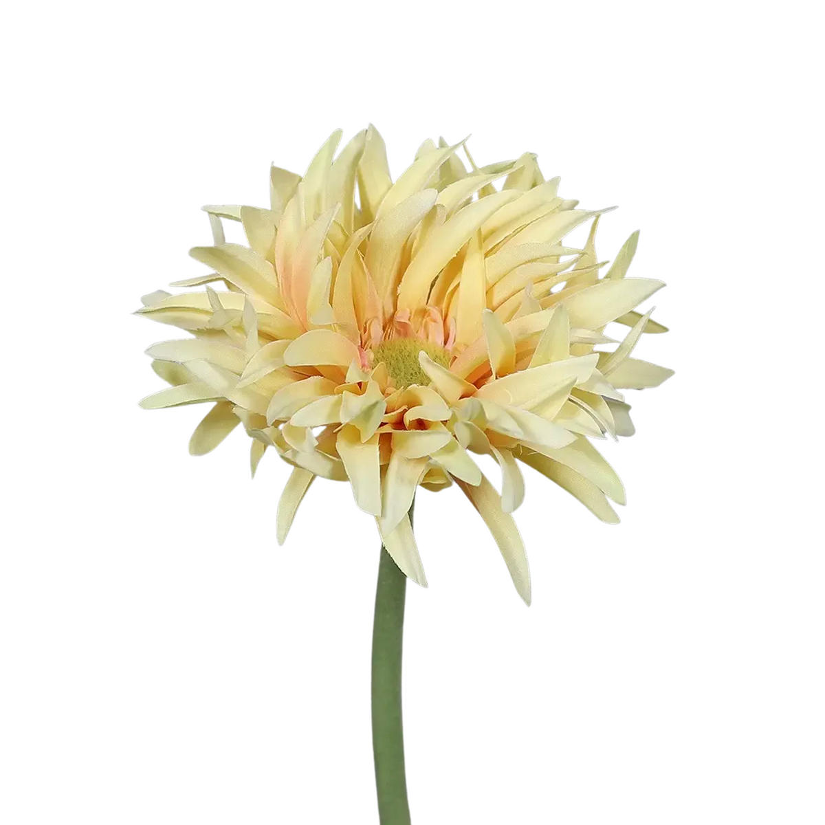 GERBERA Künstliche Gerbera gefranzt - Adam 57 cm - Gelb, Kunststoff (57cm) - aplanta