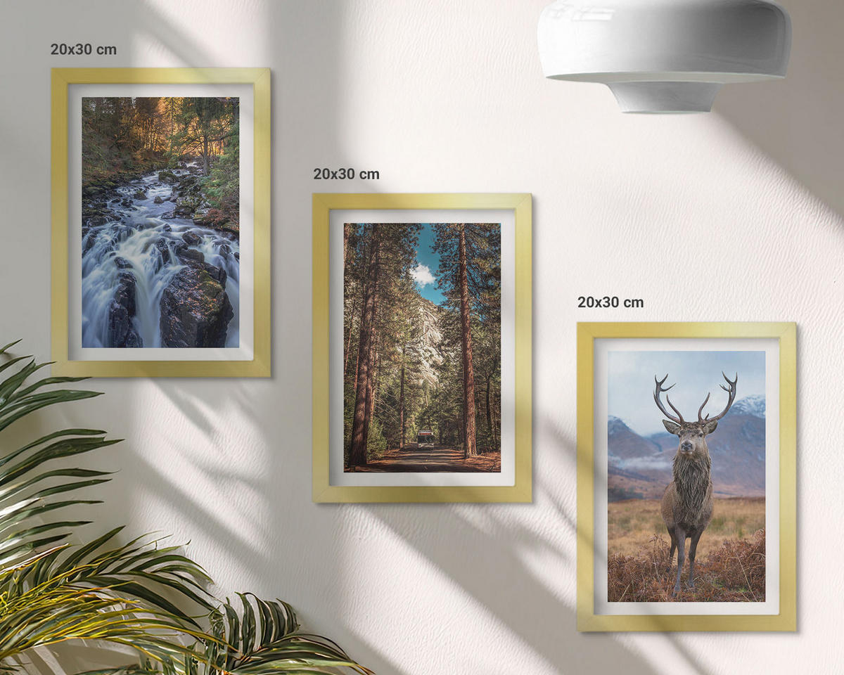 WANDBILDER 3er Set - 20x30 cm Goldrahmen - Wasserfall Wald Berge Hirsch Natur - Goldfarben, Kunststoff (20/30cm) - ArtPrintCave