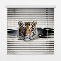 VNÚTORNÁ roleta - okenná roleta - roleta - 100x140 cm - Tiger - sivá, plast (100/140/0.5cm) - TULUP