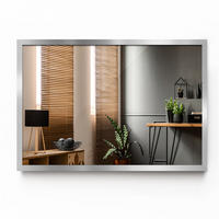 OGLEDALO u okviru srebrno 40x60 cm - srebrne boje, staklo (60/40/0.4cm) - TULUP