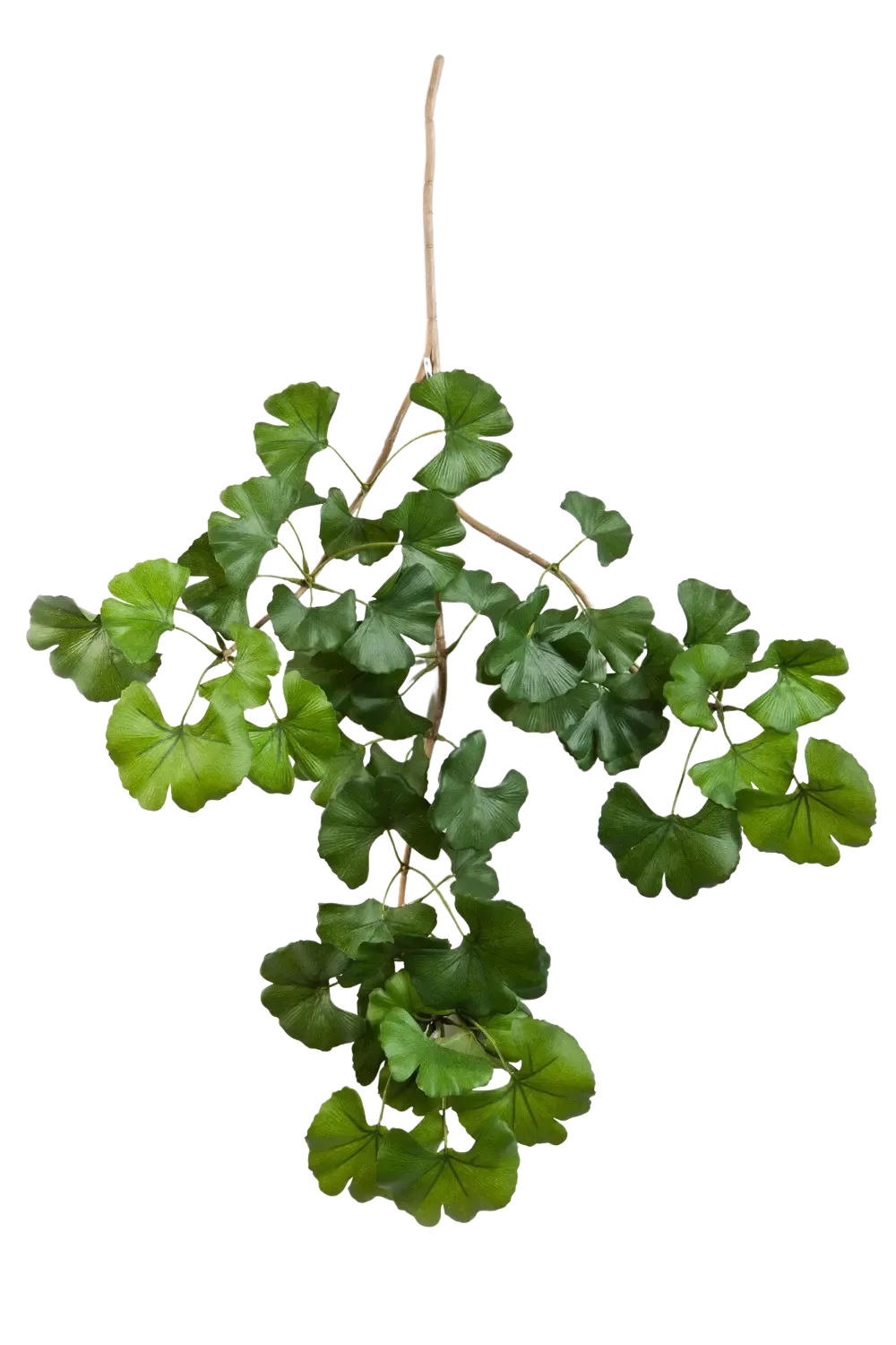 KUNSTPFLANZE Künstlicher Gingko-Zweig - Gabriele 60 cm - Grün, Kunststoff (60cm) - aplanta